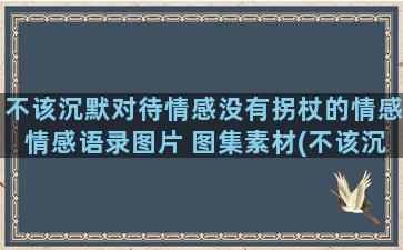 不该沉默对待情感没有拐杖的情感情感语录图片 图集素材(不该沉默对待情感语录)